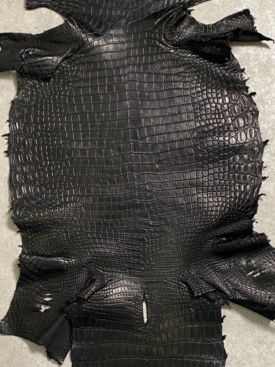 画像3: スモールクロコダイル　ブラック　40　ポロサス　ワニ革　クロコダイル革　 (3)