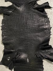 画像3: スモールクロコダイル　ブラック　40　ポロサス　ワニ革　クロコダイル革　 (3)