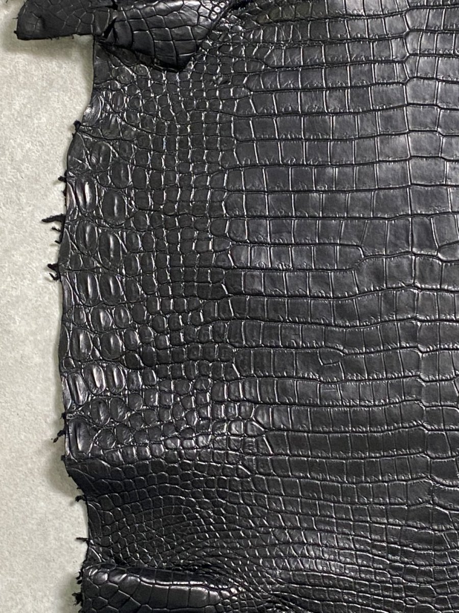画像4: スモールクロコダイル　ブラック　40　ポロサス　ワニ革　クロコダイル革　 (4)