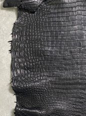 画像4: スモールクロコダイル　ブラック　40　ポロサス　ワニ革　クロコダイル革　 (4)