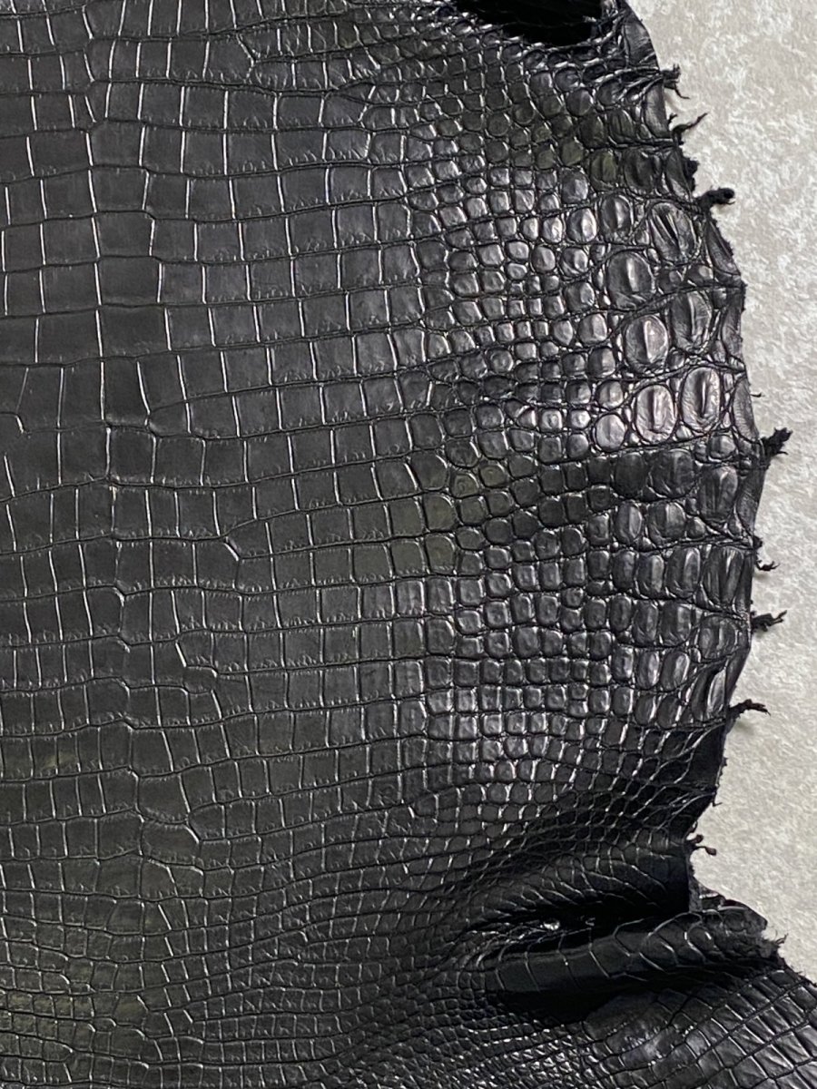 画像5: スモールクロコダイル　ブラック　40　ポロサス　ワニ革　クロコダイル革　 (5)