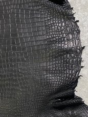 画像5: スモールクロコダイル　ブラック　40　ポロサス　ワニ革　クロコダイル革　 (5)