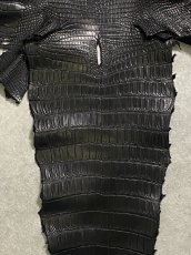 画像6: スモールクロコダイル　ブラック　40　ポロサス　ワニ革　クロコダイル革　 (6)