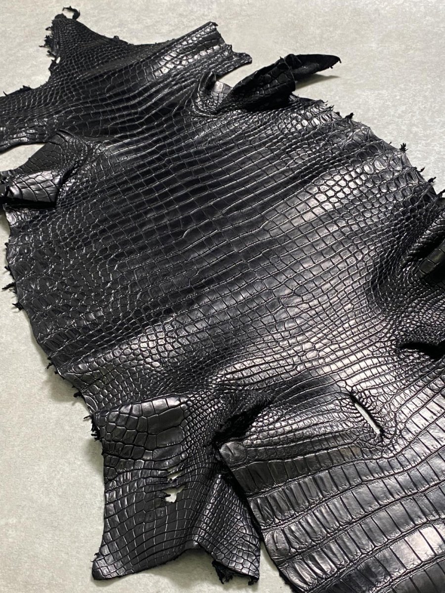 画像8: スモールクロコダイル　ブラック　40　ポロサス　ワニ革　クロコダイル革　 (8)