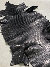 画像8: スモールクロコダイル　ブラック　40　ポロサス　ワニ革　クロコダイル革　 (8)