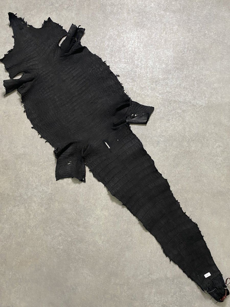 画像10: スモールクロコダイル　ブラック　40　ポロサス　ワニ革　クロコダイル革　 (10)