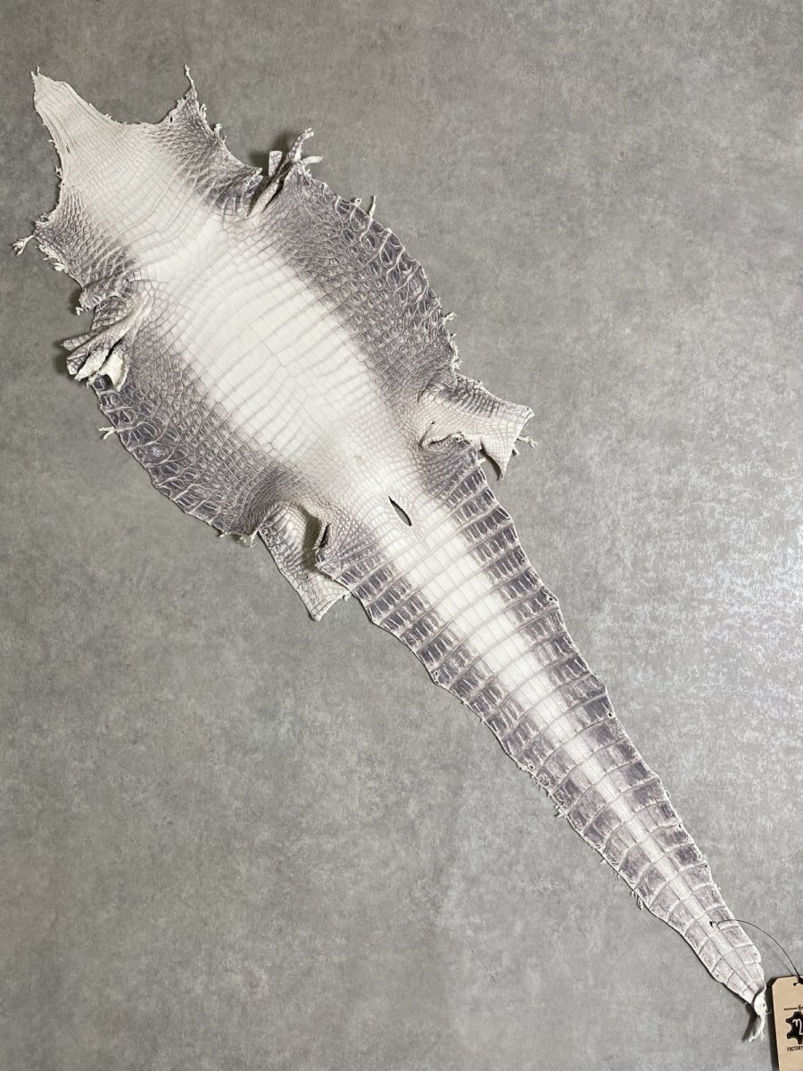 画像1: ヒマラヤクロコダイル　ナチュラル　30　ワニ革　ナイルクロコダイル　クロコダイル革　エキゾチックレザー (1)