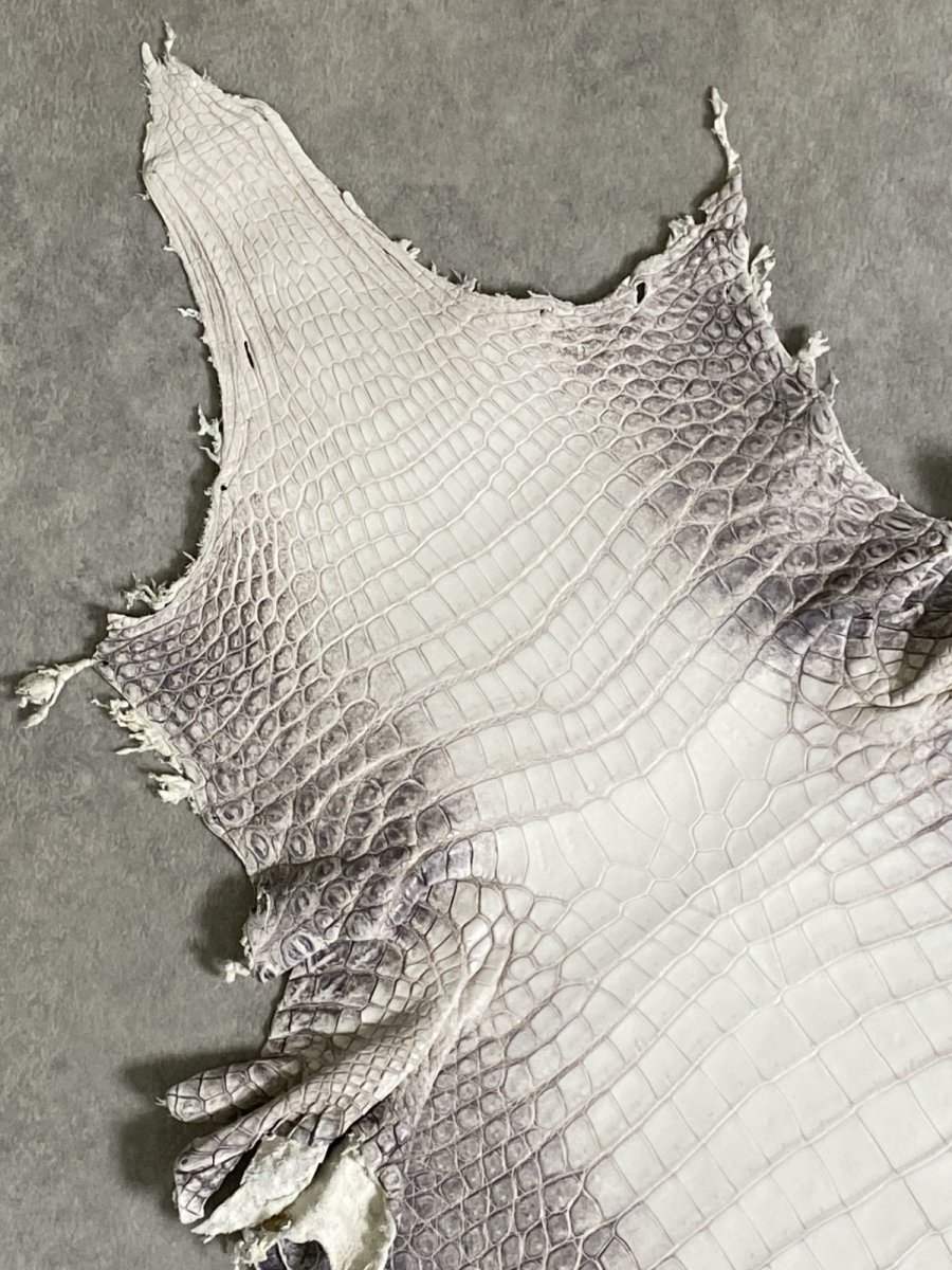 画像2: ヒマラヤクロコダイル　ナチュラル　30　ワニ革　ナイルクロコダイル　クロコダイル革　エキゾチックレザー (2)