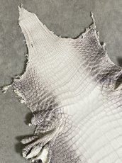 画像2: ヒマラヤクロコダイル　ナチュラル　30　ワニ革　ナイルクロコダイル　クロコダイル革　エキゾチックレザー (2)