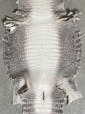 画像3: ヒマラヤクロコダイル　ナチュラル　30　ワニ革　ナイルクロコダイル　クロコダイル革　エキゾチックレザー (3)