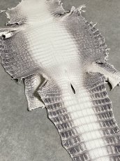 画像7: ヒマラヤクロコダイル　ナチュラル　30　ワニ革　ナイルクロコダイル　クロコダイル革　エキゾチックレザー (7)