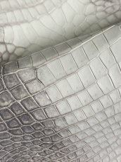 画像8: ヒマラヤクロコダイル　ナチュラル　30　ワニ革　ナイルクロコダイル　クロコダイル革　エキゾチックレザー (8)