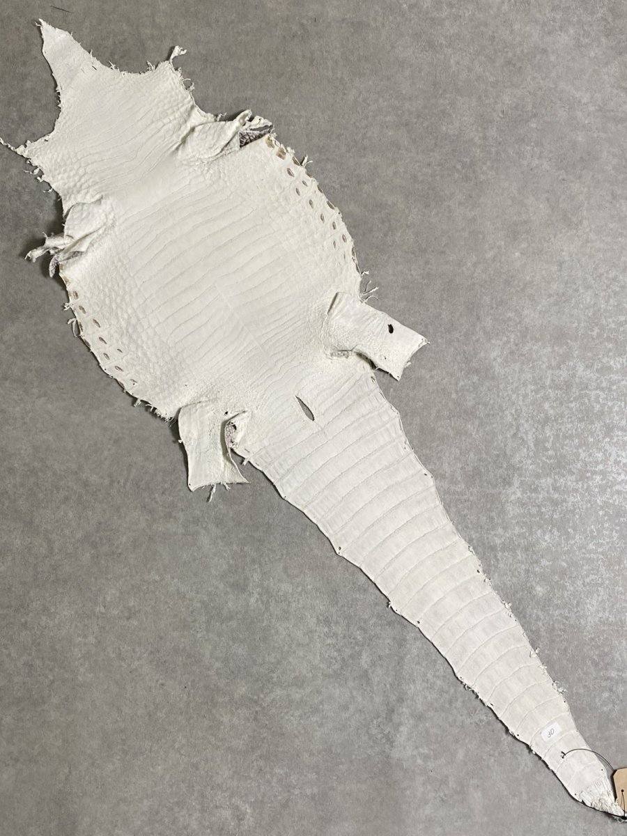 画像9: ヒマラヤクロコダイル　ナチュラル　30　ワニ革　ナイルクロコダイル　クロコダイル革　エキゾチックレザー (9)