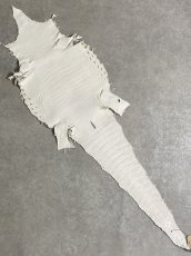 画像9: ヒマラヤクロコダイル　ナチュラル　30　ワニ革　ナイルクロコダイル　クロコダイル革　エキゾチックレザー (9)