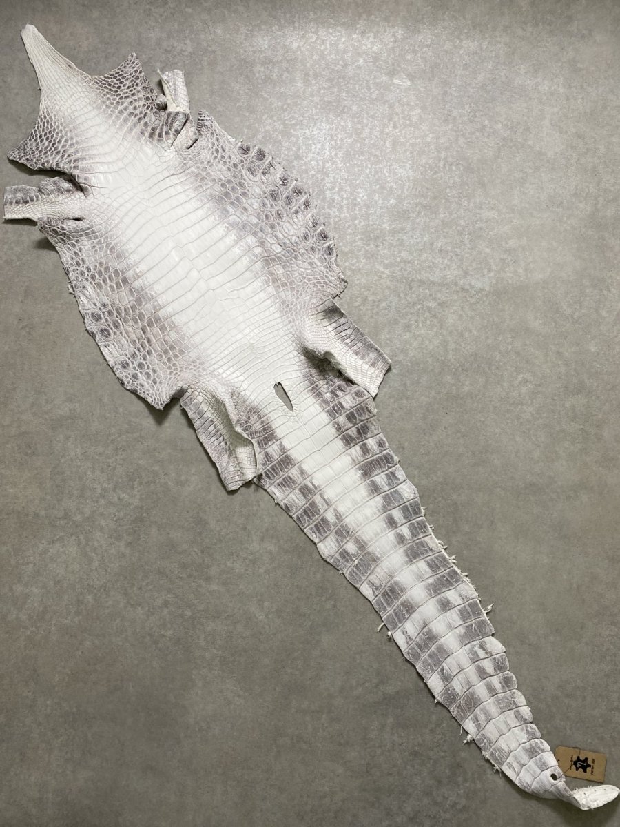 画像1: ヒマラヤクロコダイル　ナチュラル　39　ワニ革　ナイルクロコダイル　クロコダイル革　エキゾチックレザー (1)