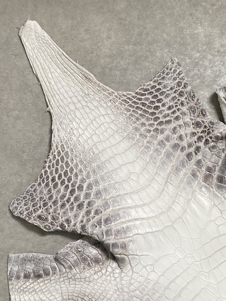 画像2: ヒマラヤクロコダイル　ナチュラル　39　ワニ革　ナイルクロコダイル　クロコダイル革　エキゾチックレザー (2)