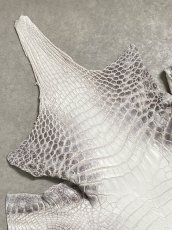 画像2: ヒマラヤクロコダイル　ナチュラル　39　ワニ革　ナイルクロコダイル　クロコダイル革　エキゾチックレザー (2)