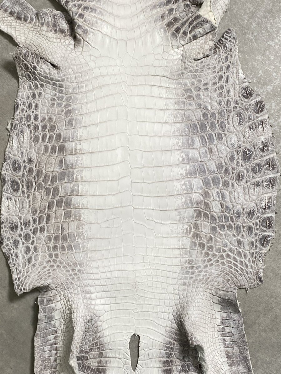 画像3: ヒマラヤクロコダイル　ナチュラル　39　ワニ革　ナイルクロコダイル　クロコダイル革　エキゾチックレザー (3)