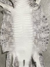 画像3: ヒマラヤクロコダイル　ナチュラル　39　ワニ革　ナイルクロコダイル　クロコダイル革　エキゾチックレザー (3)