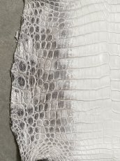 画像4: ヒマラヤクロコダイル　ナチュラル　39　ワニ革　ナイルクロコダイル　クロコダイル革　エキゾチックレザー (4)