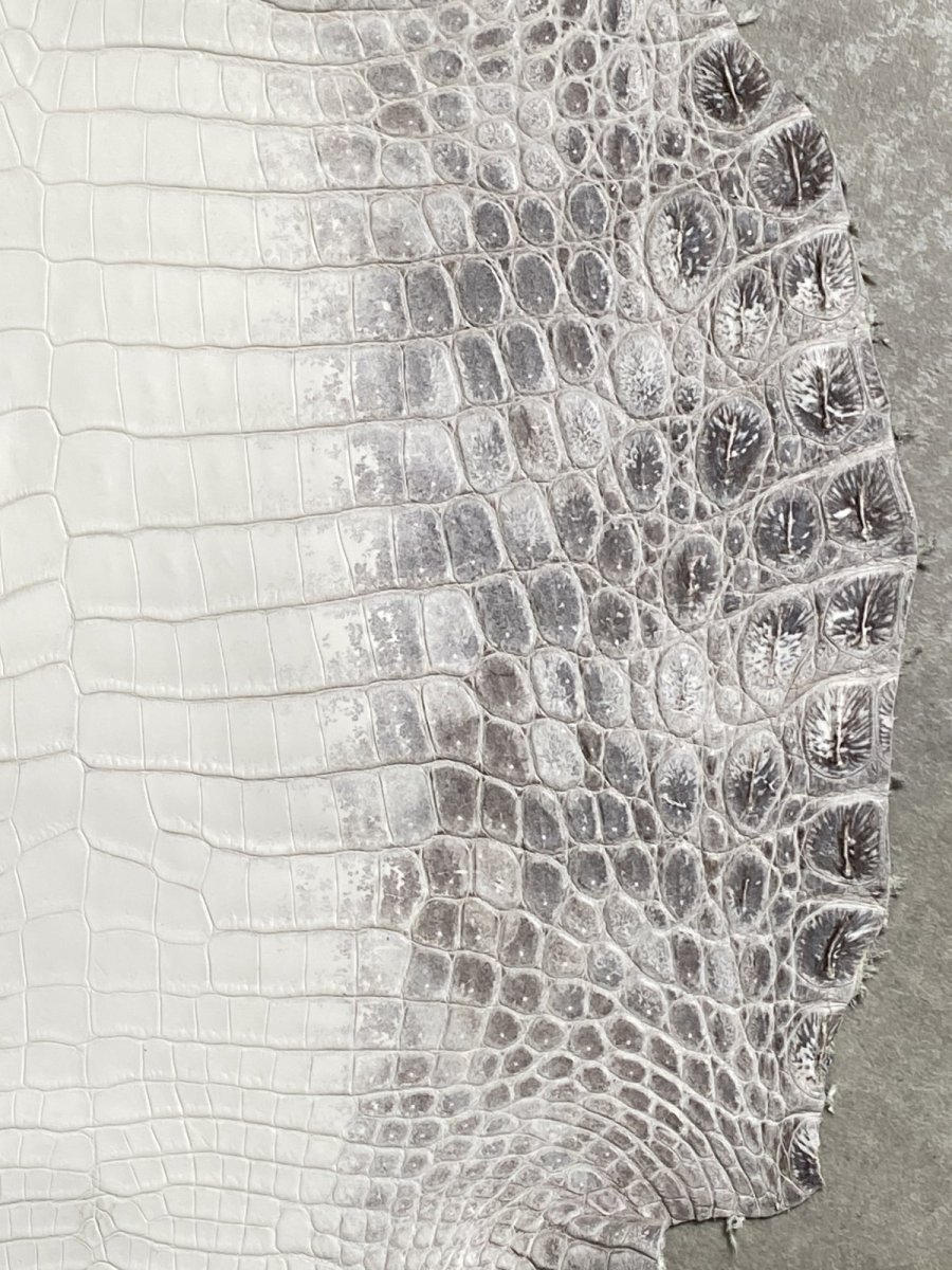 画像5: ヒマラヤクロコダイル　ナチュラル　39　ワニ革　ナイルクロコダイル　クロコダイル革　エキゾチックレザー (5)