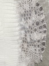 画像5: ヒマラヤクロコダイル　ナチュラル　39　ワニ革　ナイルクロコダイル　クロコダイル革　エキゾチックレザー (5)