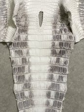 画像6: ヒマラヤクロコダイル　ナチュラル　39　ワニ革　ナイルクロコダイル　クロコダイル革　エキゾチックレザー (6)