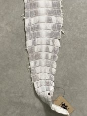 画像7: ヒマラヤクロコダイル　ナチュラル　39　ワニ革　ナイルクロコダイル　クロコダイル革　エキゾチックレザー (7)