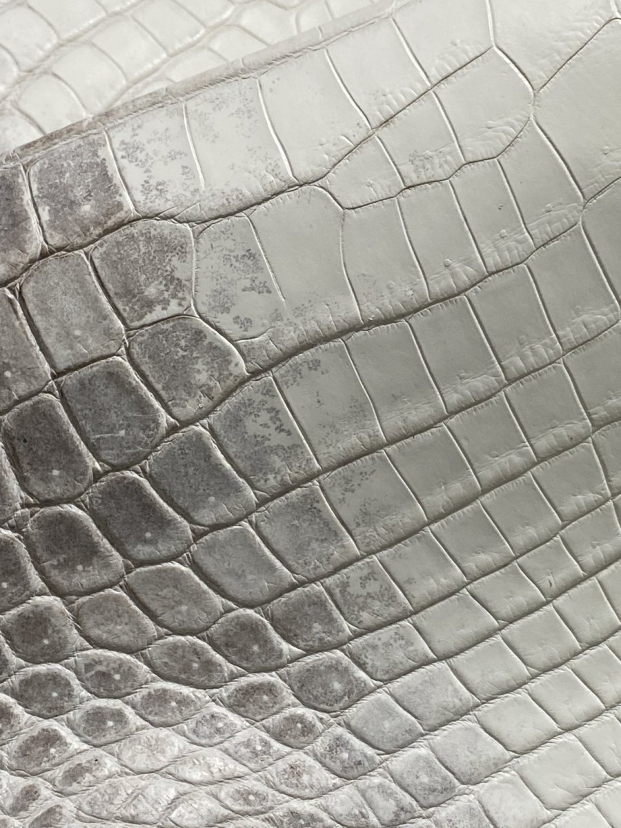 画像8: ヒマラヤクロコダイル　ナチュラル　39　ワニ革　ナイルクロコダイル　クロコダイル革　エキゾチックレザー (8)