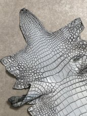 画像2: ラージクロコダイル　谷染めパール仕上げ　アリスブルー (2)