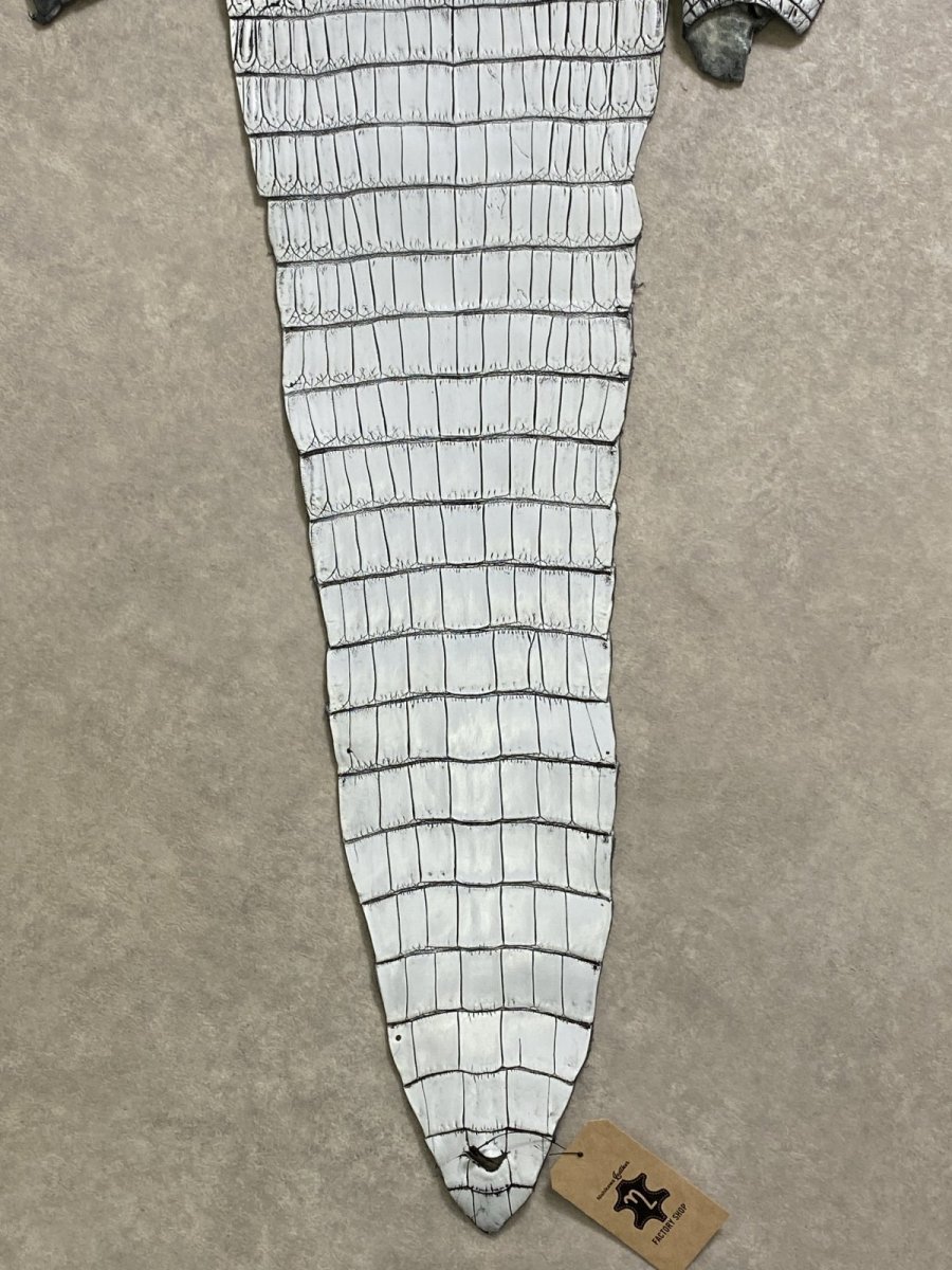 画像6: ラージクロコダイル　谷染めパール仕上げ　アリスブルー (6)