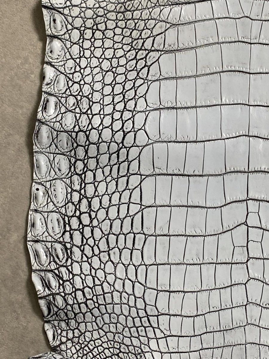 画像4: ラージクロコダイル　谷染めパール仕上げ　アリスブルー (4)