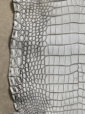 画像4: ラージクロコダイル　谷染めパール仕上げ　アリスブルー (4)