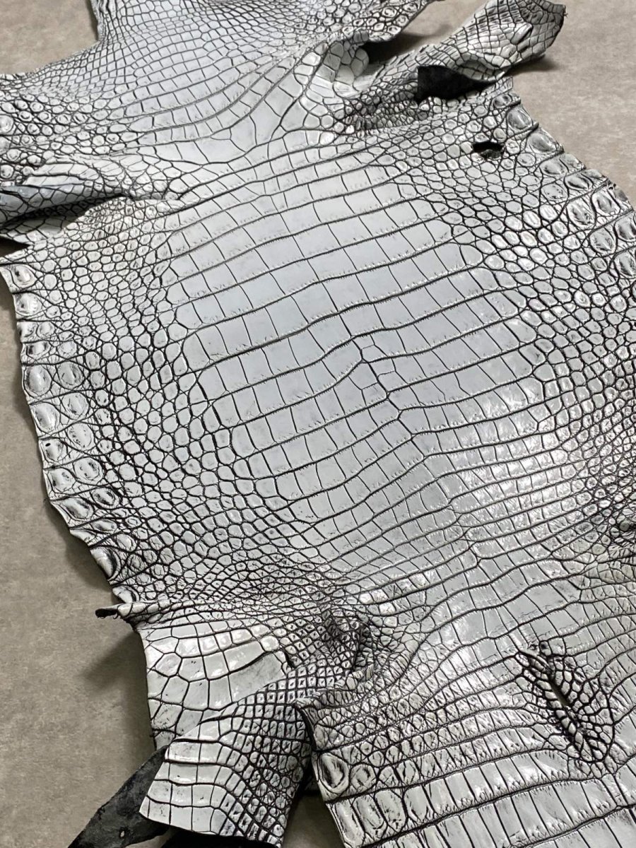 画像7: ラージクロコダイル　谷染めパール仕上げ　アリスブルー (7)