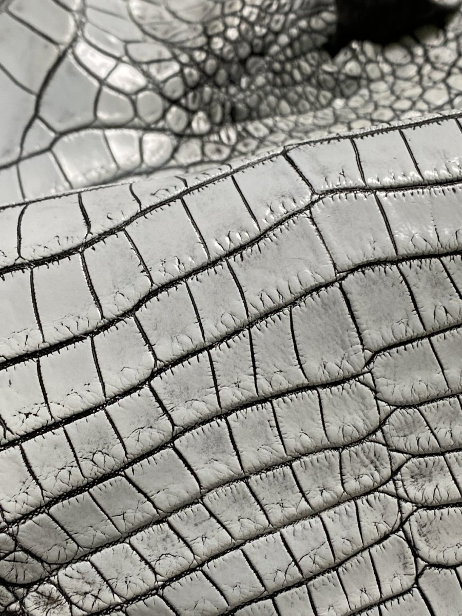 画像8: ラージクロコダイル　谷染めパール仕上げ　アリスブルー (8)