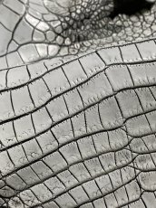 画像8: ラージクロコダイル　谷染めパール仕上げ　アリスブルー (8)