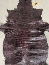 画像6: シャムクロコ　グレージング仕上げ　パープル　50 (6)