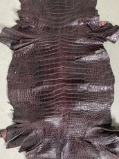 画像7: シャムクロコ　グレージング仕上げ　パープル　50 (7)