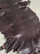 画像3: シャムクロコ　グレージング仕上げ　パープル　50 (3)