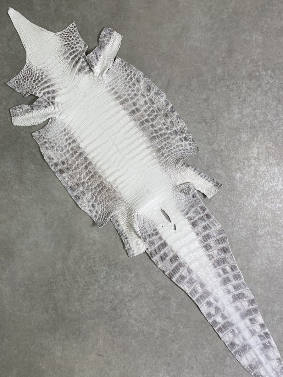 画像1: ヒマラヤクロコダイル　ナチュラル　36　ワニ革　ナイルクロコダイル　クロコダイル革　エキゾチックレザー (1)