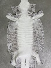 画像5: ヒマラヤクロコダイル　ナチュラル　36　ワニ革　ナイルクロコダイル　クロコダイル革　エキゾチックレザー (5)