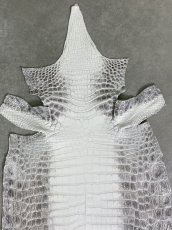 画像4: ヒマラヤクロコダイル　ナチュラル　36　ワニ革　ナイルクロコダイル　クロコダイル革　エキゾチックレザー (4)