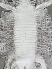 画像3: ヒマラヤクロコダイル　ナチュラル　36　ワニ革　ナイルクロコダイル　クロコダイル革　エキゾチックレザー (3)