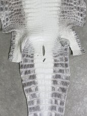 画像6: ヒマラヤクロコダイル　ナチュラル　36　ワニ革　ナイルクロコダイル　クロコダイル革　エキゾチックレザー (6)