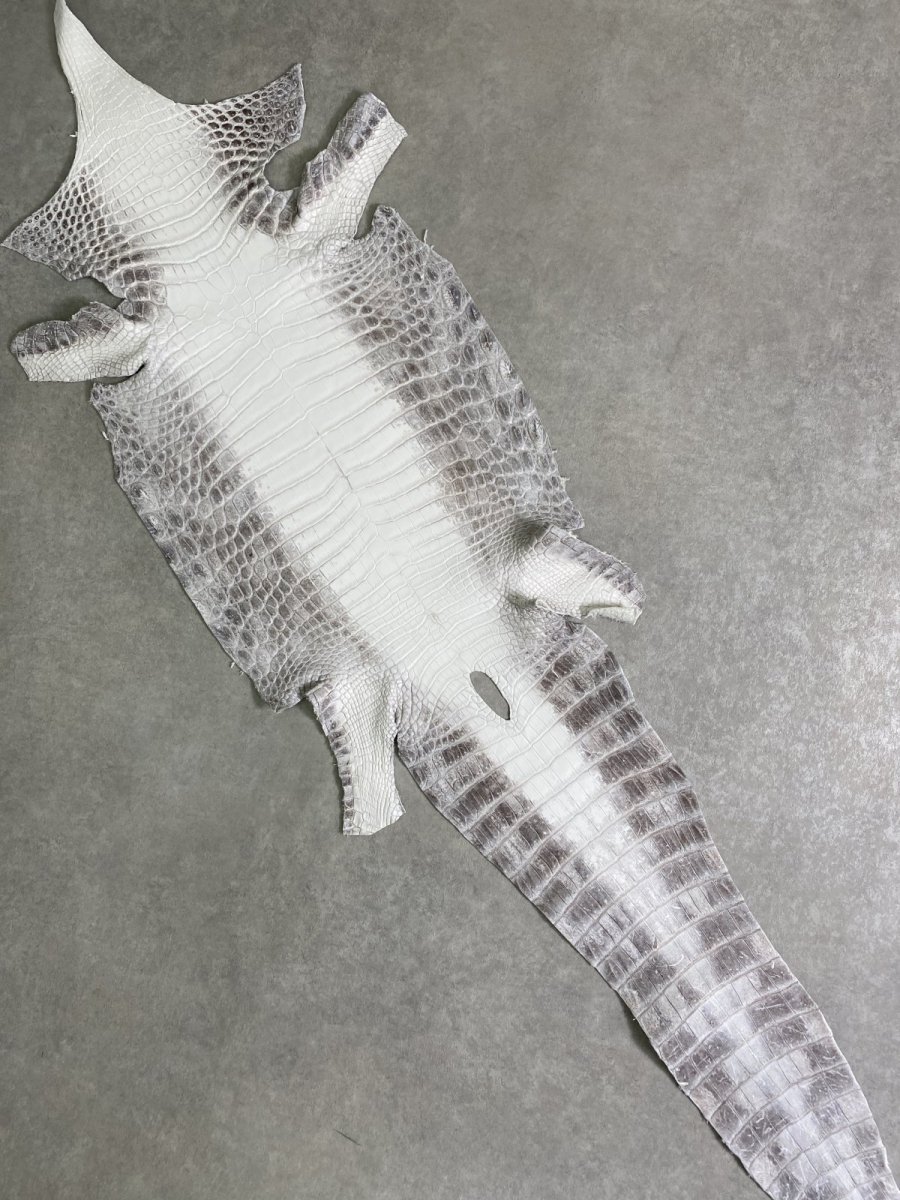 画像1: ヒマラヤクロコダイル　ナチュラル　37　ワニ革　ナイルクロコダイル　クロコダイル革　エキゾチックレザー (1)