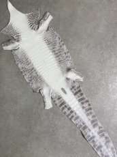 画像1: ヒマラヤクロコダイル　ナチュラル　37　ワニ革　ナイルクロコダイル　クロコダイル革　エキゾチックレザー (1)