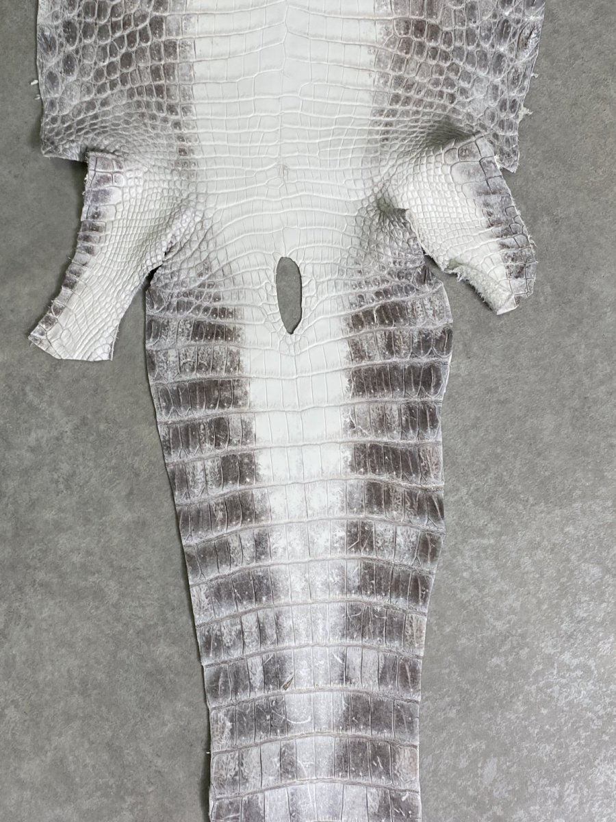 画像6: ヒマラヤクロコダイル　ナチュラル　37　ワニ革　ナイルクロコダイル　クロコダイル革　エキゾチックレザー (6)