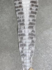 画像7: ヒマラヤクロコダイル　ナチュラル　37　ワニ革　ナイルクロコダイル　クロコダイル革　エキゾチックレザー (7)