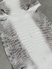 画像2: ヒマラヤクロコダイル　ナチュラル　37　ワニ革　ナイルクロコダイル　クロコダイル革　エキゾチックレザー (2)