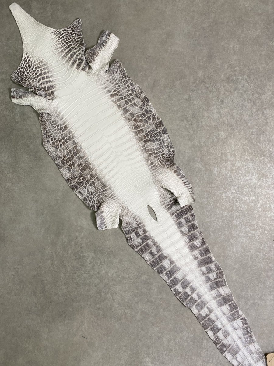 画像1: ヒマラヤクロコダイル　ナチュラル　35　ワニ革　ナイルクロコダイル　クロコダイル革　エキゾチックレザー (1)